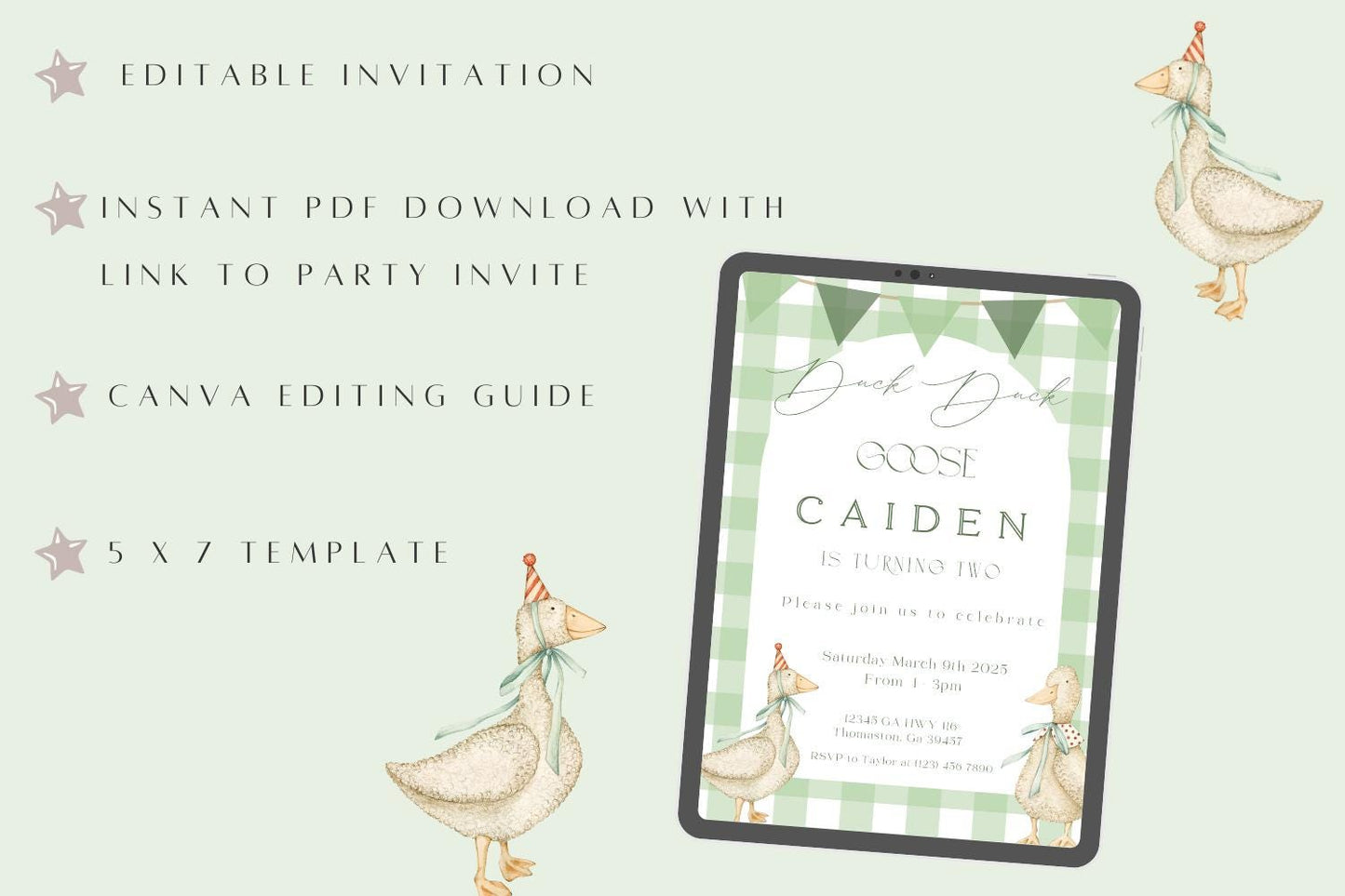 Duck, Duck, Goose! Birthday Invite